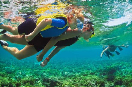 Snorkelling with Lecques Aquanaut Center