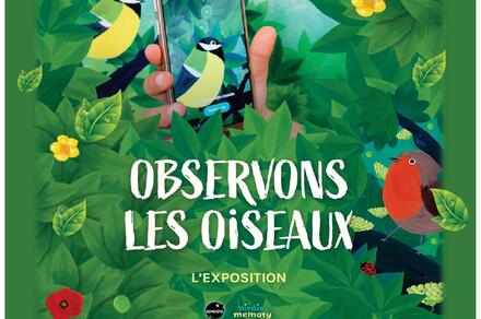 Exposition Observons les oiseaux