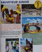 Secouristes Français Croix Blanche / Sauveteur Junior