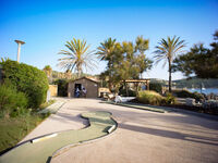 Discovery of mini golf