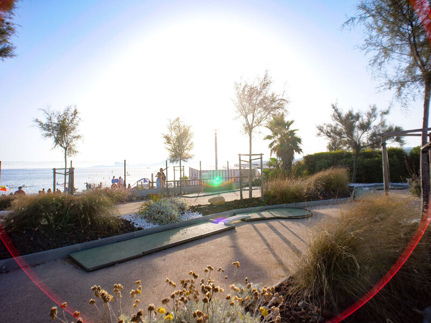 Discovery of mini golf