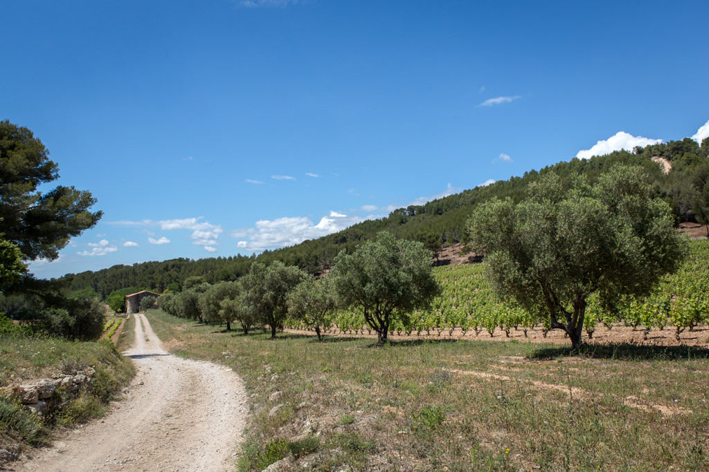 Bastide de Nartette