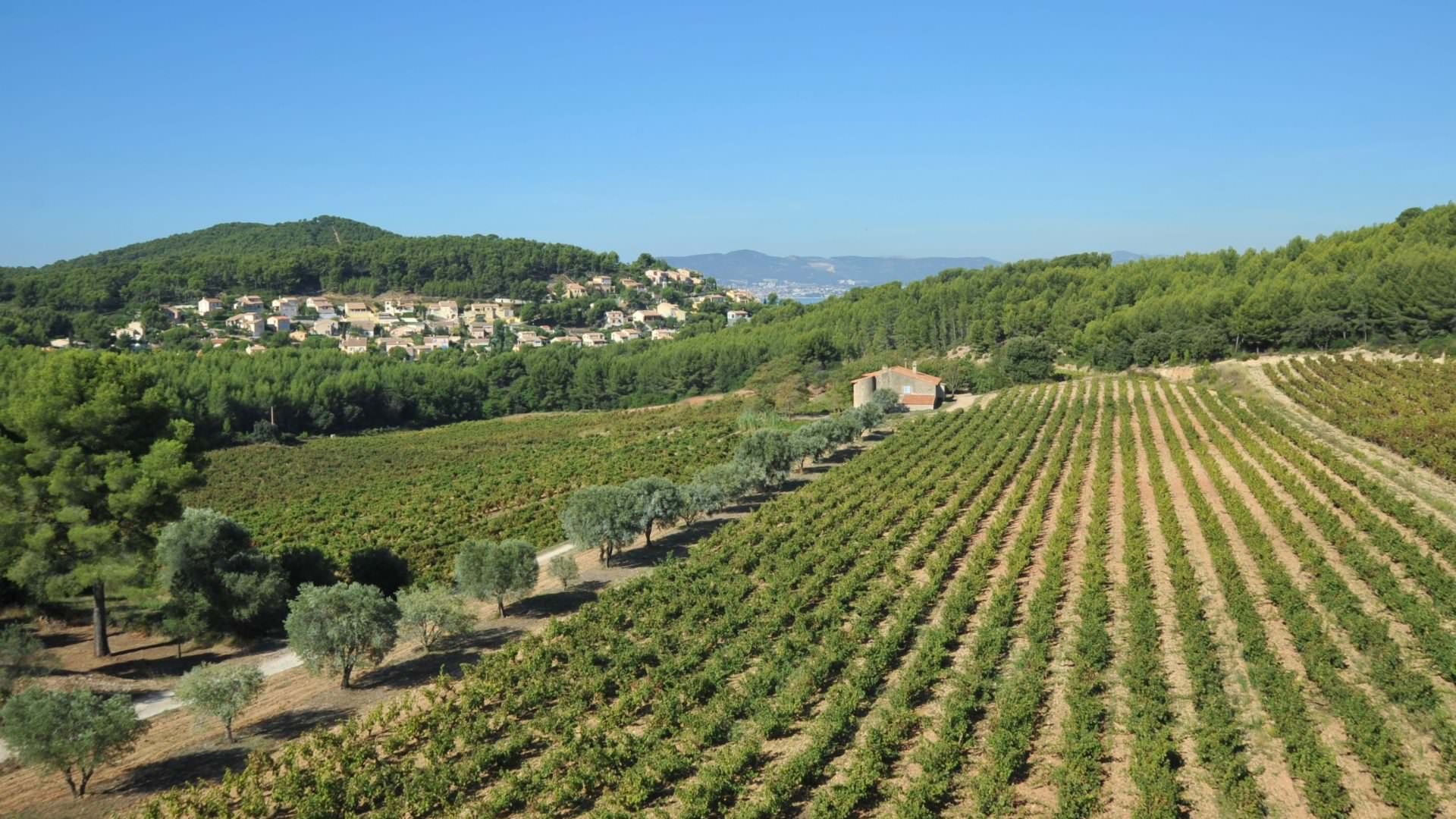 vue panoramique du domaine de nartette