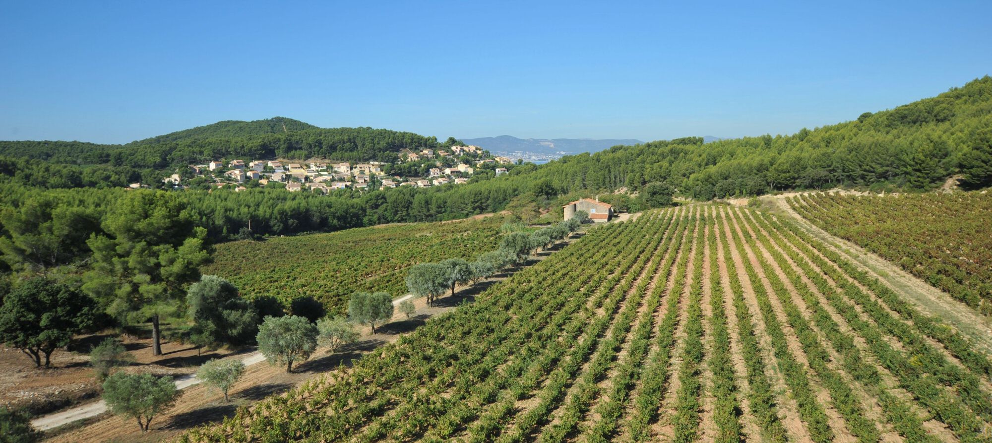 vue panoramique du domaine de nartette