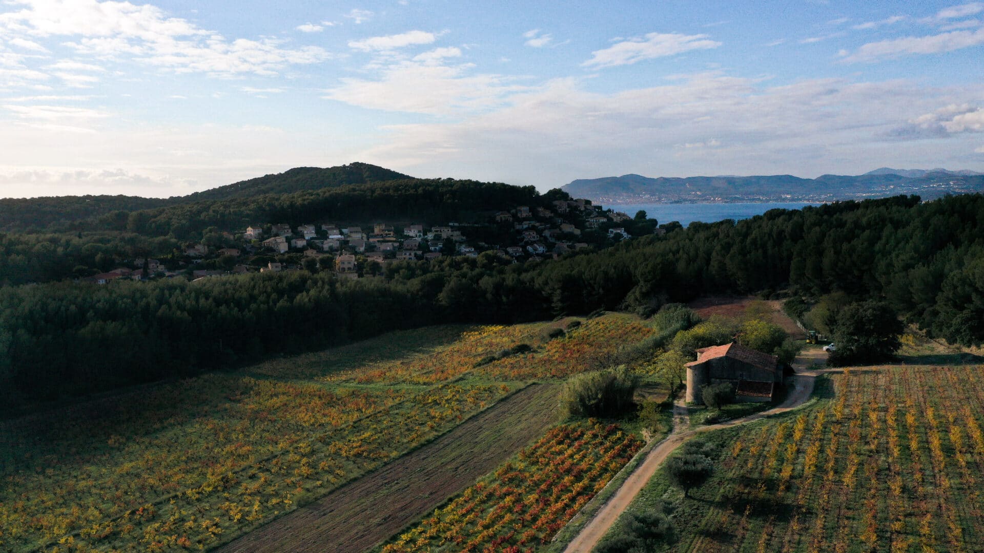 Nartette in autumn