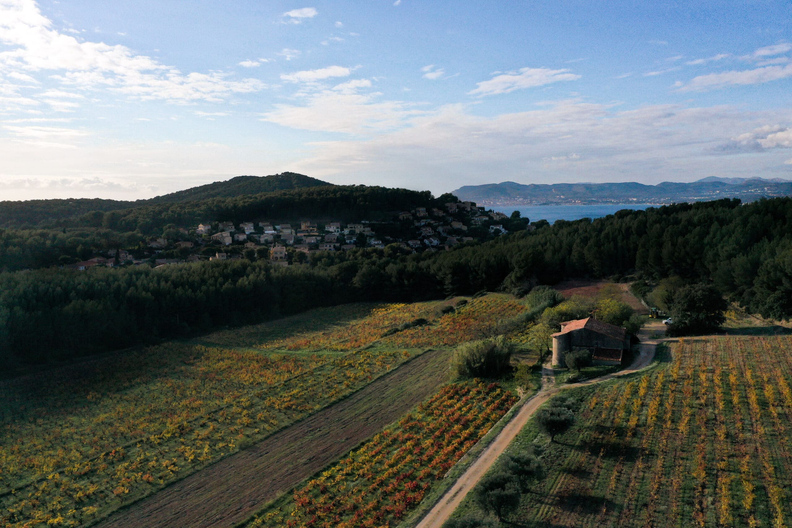 Nartette in autumn